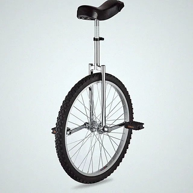 24" Silver Unicycle Cycling Scooter Circus Bike Skidproof Tire Balance Exercise