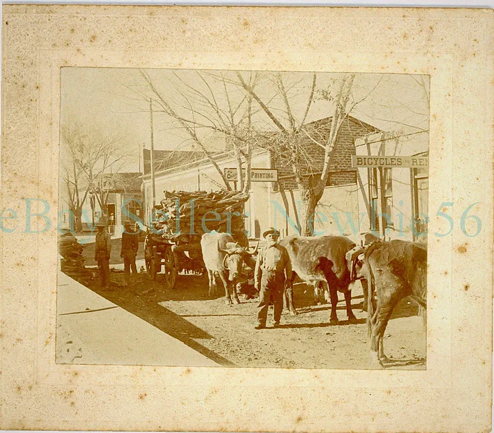 Silver City NM - OX DRAWN WOOD CART AT BICYCLE REPAIR STORE - c1890s Photo