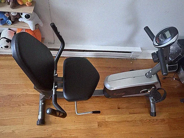 Sunny Health & Fitness Recumbent Exercise Bike LCD Magnetic Black Silver