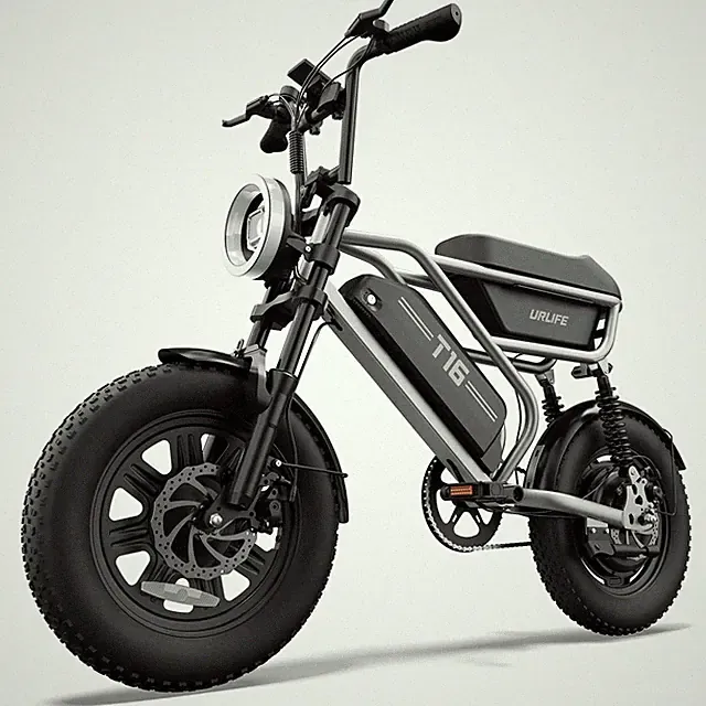 URLIFE 16''*3.0 Electric Bike for Adults Teens 1000W Fat Tire Ebike 48V 13AH 70M