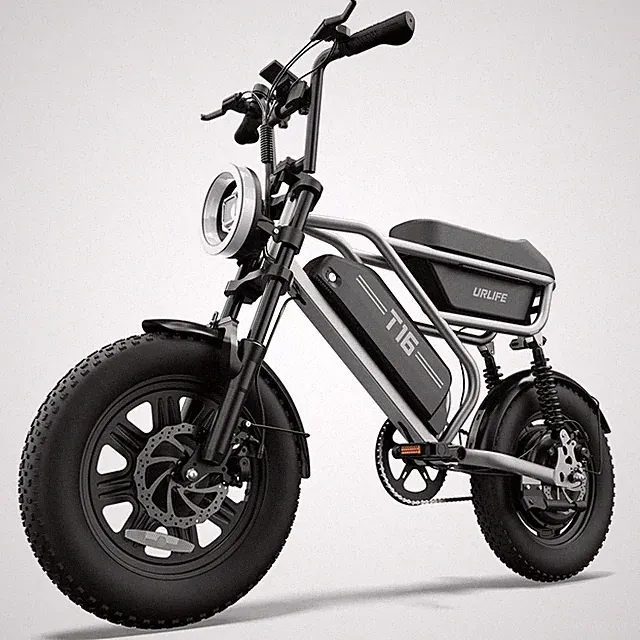 URLIFE 16'' Fat Tire Electric Bike 48V13Ah for Adult 1000W Electric Moutain Bike