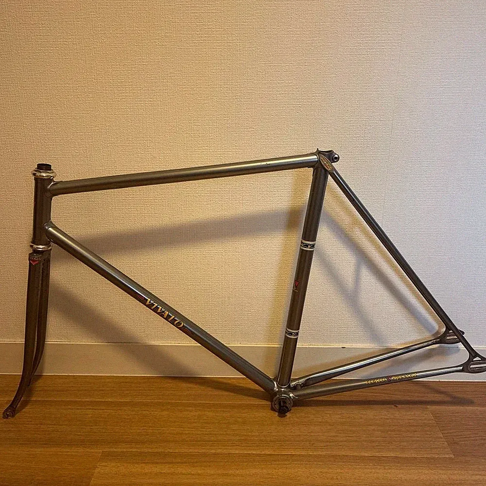 Vivalo Special Track Bike Frame Set Size 54 Fixed Gear Steel Frame Fork USED